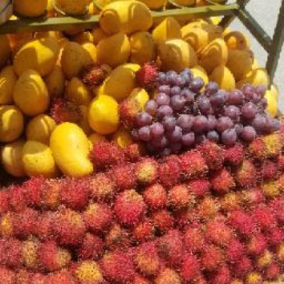 Meet your Posher, Eden - Picture 1 of 1